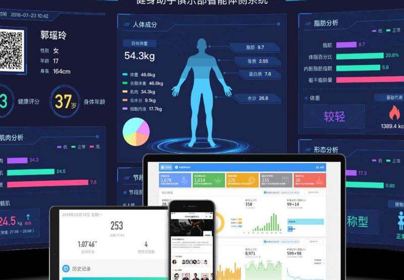 与Facebook相类似的软件：功能比较与选择
