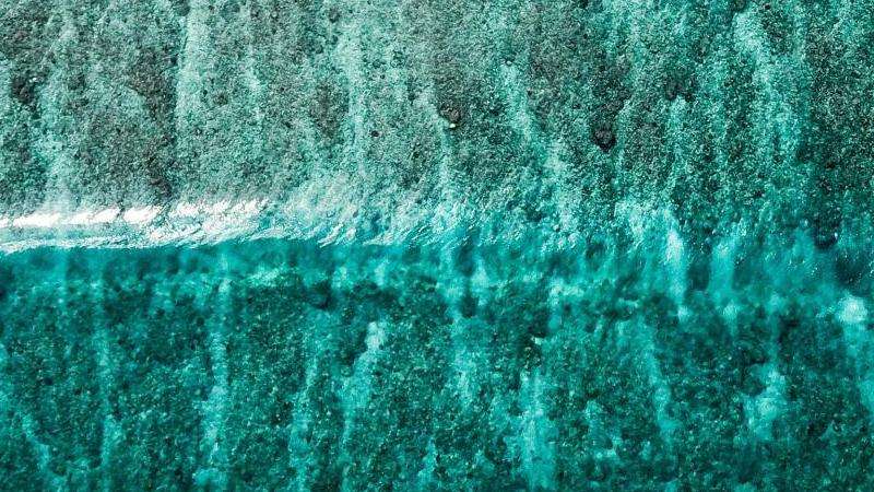 什么软件登录Facebook？