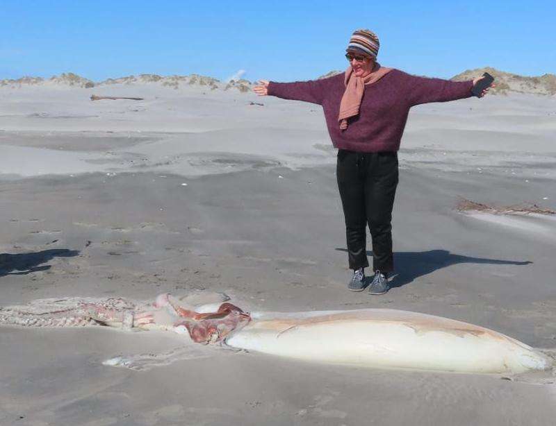 体育明星在脸书上的粉丝数量